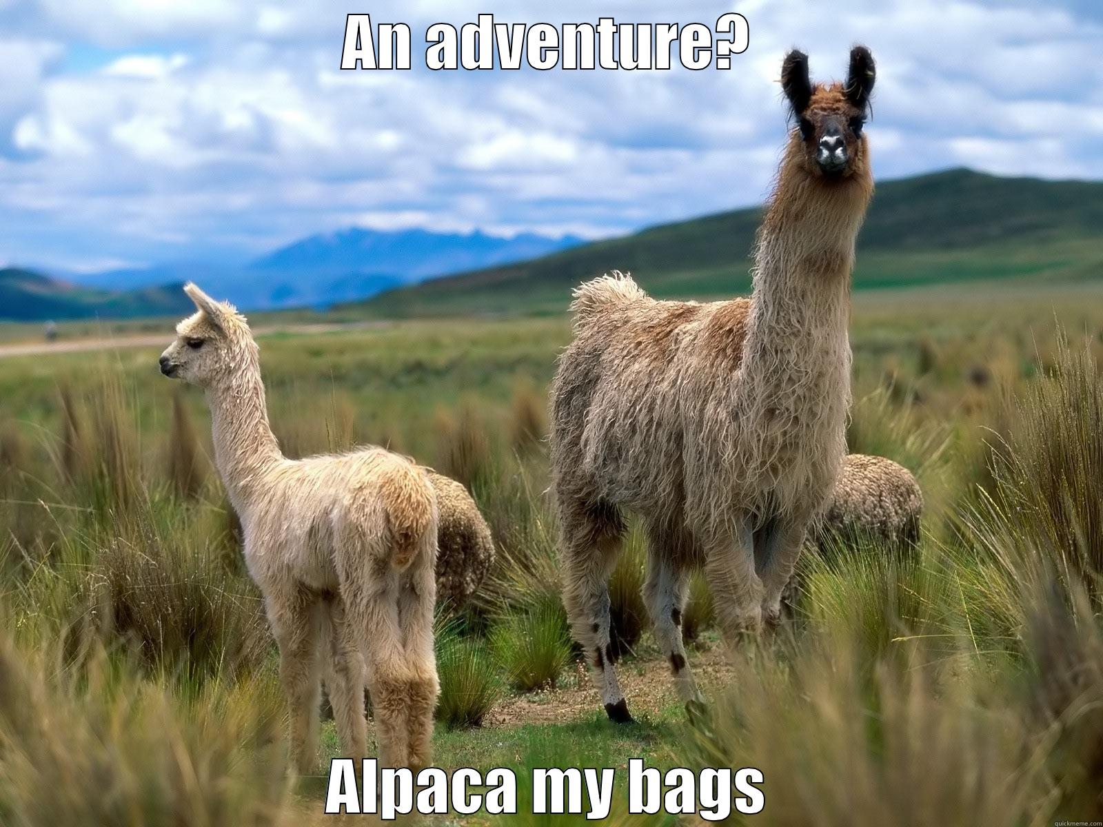 alpaca my bags - AN ADVENTURE? ALPACA MY BAGS Misc