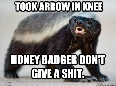 Took arrow in knee Honey badger don't give a shit. - Took arrow in knee Honey badger don't give a shit.  Honey Badger