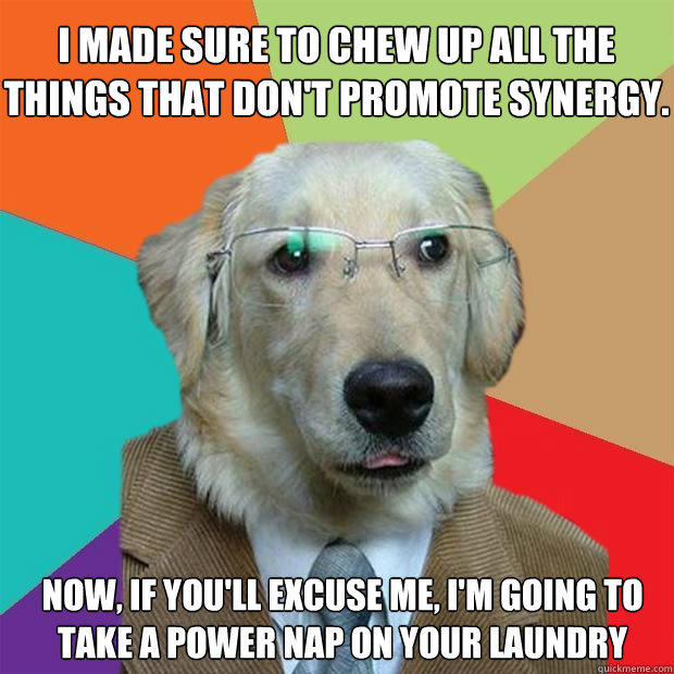 I made sure to chew up all the things that don't promote synergy. Now, if you'll excuse me, i'm going to take a power nap on your laundry - I made sure to chew up all the things that don't promote synergy. Now, if you'll excuse me, i'm going to take a power nap on your laundry  Business Dog