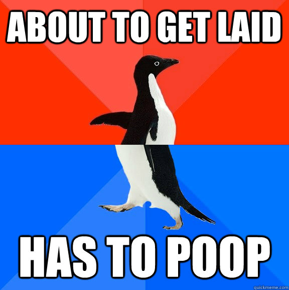 about to get laid has to poop  Socially Awesome Awkward Penguin