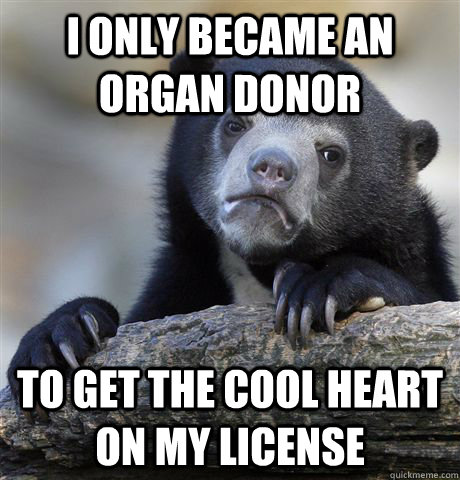 I only became an organ donor  to get the cool heart on my license  Confession Bear