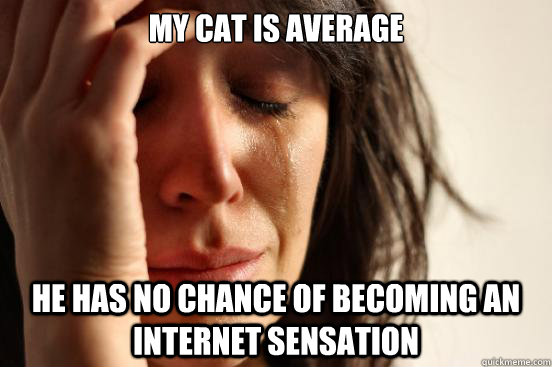 My cat is average he has no chance of becoming an internet sensation  First World Problems