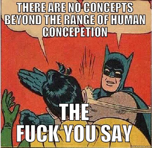 THERE ARE NO CONCEPTS BEYOND THE RANGE OF HUMAN CONCEPETION THE FUCK YOU SAY Batman Slapping Robin
