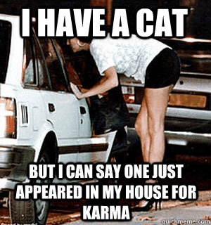 I have a cat but i can say one just appeared in my house for karma  Karma Whore