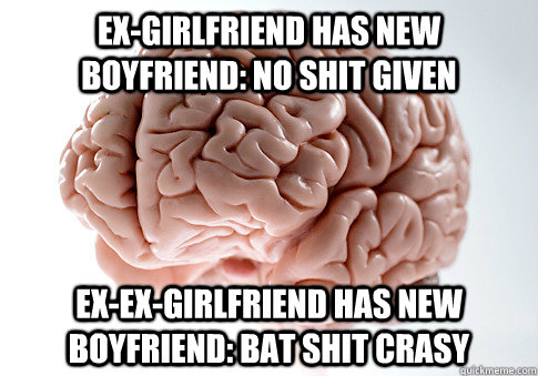 Ex-girlfriend has new boyfriend: no shit given Ex-ex-girlfriend has new boyfriend: bat shit crasy  Scumbag Brain