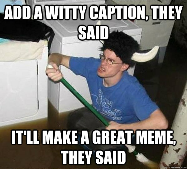 Add a witty caption, they said It'll make a great meme, they said  They said