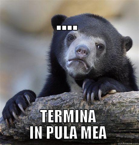 .... TERMINA IN PULA MEA Confession Bear