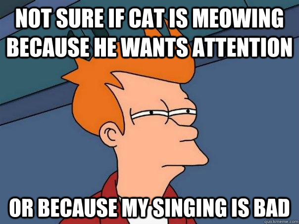 Not sure if cat is meowing because he wants attention Or because my singing is bad  Futurama Fry