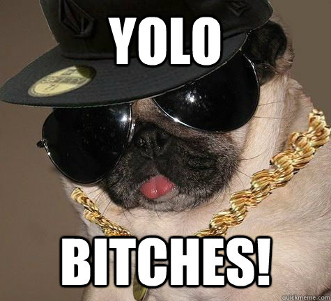 YOLO Bitches! - YOLO Bitches!  Gangster Pug