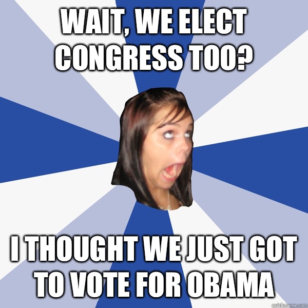 Wait, we elect congress too? I thought we just got to vote for Obama  Annoying Facebook Girl