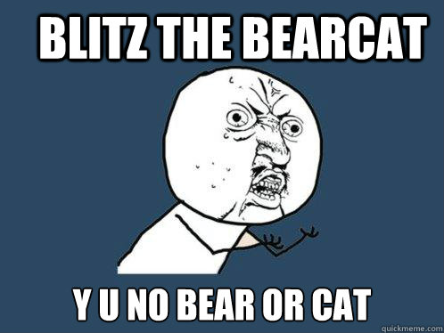 blitz the bearcat y u no bear or cat  Y U No