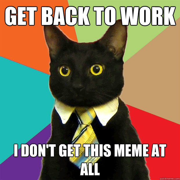 Get back to work I don't get this meme at all  Business Cat