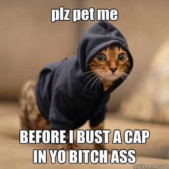 plz pet me BEFORE I BUST A CAP
IN YO BITCH ASS  
