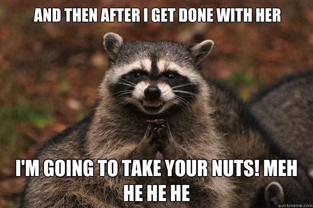 and then after I get done with her I'm going to take your nuts! Meh he he he  Evil Plotting Raccoon