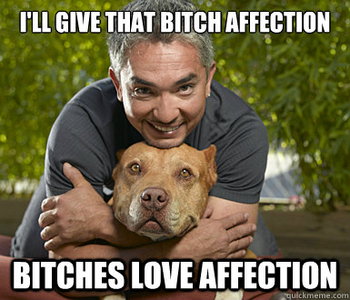I'll give that bitch affection Bitches love affection  Cesar Millan