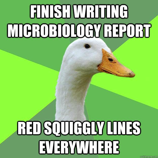 Finish writing microbiology report Red squiggly lines everywhere - Finish writing microbiology report Red squiggly lines everywhere  Biology Student Duck