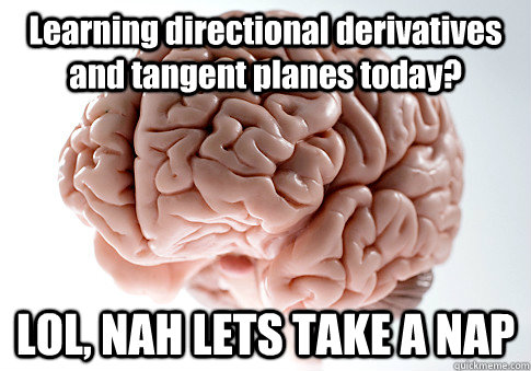 Learning directional derivatives and tangent planes today? LOL, NAH LETS TAKE A NAP   Scumbag Brain