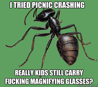 I tried picnic crashing Really kids still carry fucking magnifying glasses?  