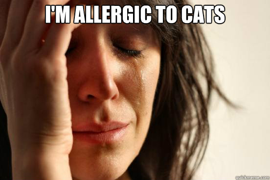 I'm allergic to cats   First World Problems