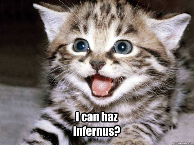  I can haz infernus?  who knew cats like chocolate