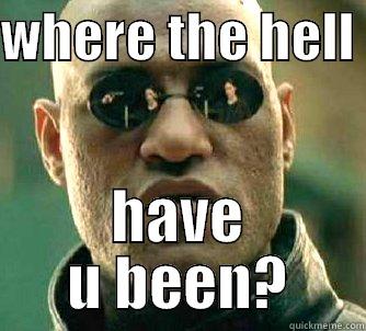 WHERE THE HELL  HAVE U BEEN? Matrix Morpheus