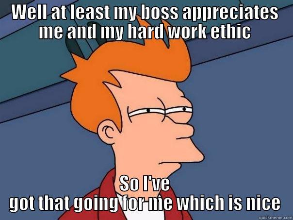 Good work ethic - WELL AT LEAST MY BOSS APPRECIATES ME AND MY HARD WORK ETHIC SO I'VE GOT THAT GOING FOR ME WHICH IS NICE Futurama Fry