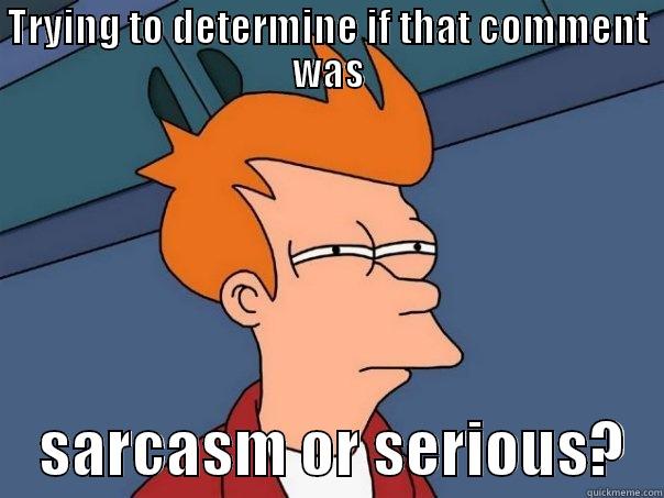 TRYING TO DETERMINE IF THAT COMMENT WAS     SARCASM OR SERIOUS?   Futurama Fry