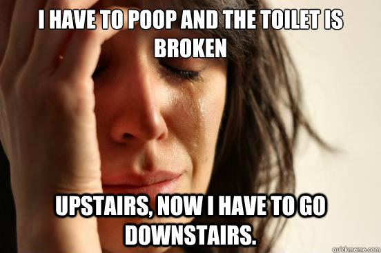 I have to poop and the toilet is broken Upstairs, now i have to go downstairs.  First World Problems