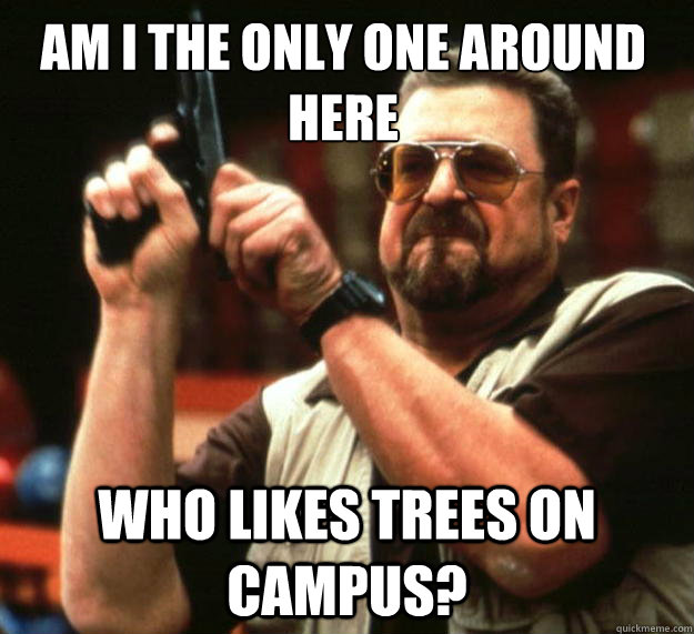 Am I the only one around here who likes trees on campus?  Walter