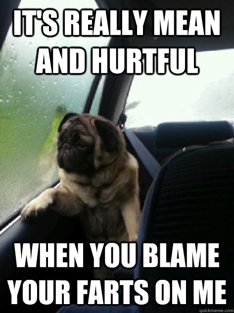 it's really mean and hurtful when you blame your farts on me  Introspective Pug