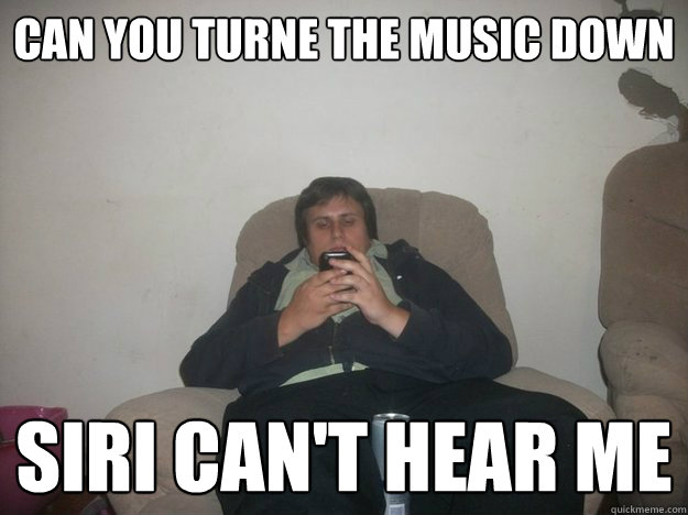 can you turne the music down siri can't hear me  Phone Guy