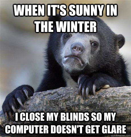 When it's sunny in the winter i close my blinds so my computer doesn't get glare - When it's sunny in the winter i close my blinds so my computer doesn't get glare  Confession Bear