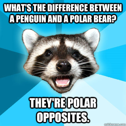 WHAT'S THE DIFFERENCE BETWEEN A PENGUIN AND A POLAR BEAR? THEY'RE POLAR OPPOSITES.  Lame Pun Coon