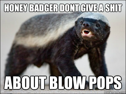 Honey badger dont give a shit about blow pops  