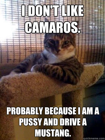 I Don't Like Camaros. Probably because i am a Pussy and drive a Mustang.  The Most Interesting Cat in the World