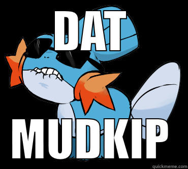 DAT MUDKIP Misc