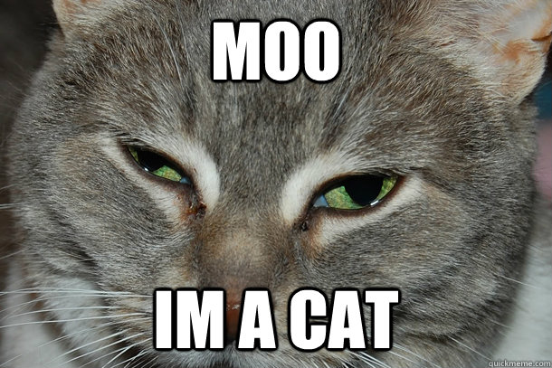 MOO IM A CAT - MOO IM A CAT  Misc