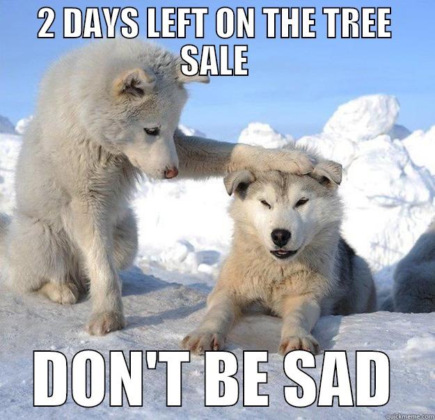 DON'T BE SAD LITTLE GUY, THE TREE SALE WILL HAPPEN AGAIN NEXT YEAR. - 2 DAYS LEFT ON THE TREE SALE DON'T BE SAD Caring Husky