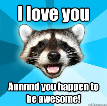 I love you Annnnd you happen to be awesome!  Lame Pun Coon
