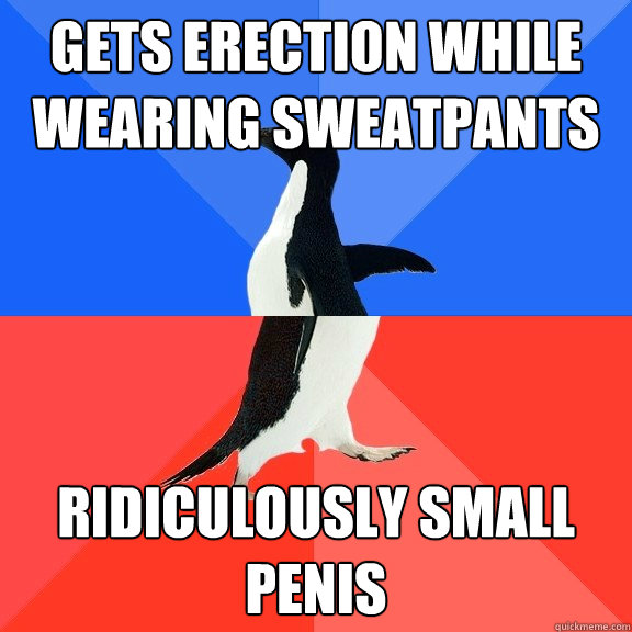 gets erection while wearing sweatpants ridiculously small penis  Socially Awkward Awesome Penguin