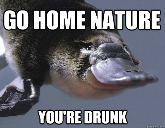 Go Home Nature You're Drunk  Platypus