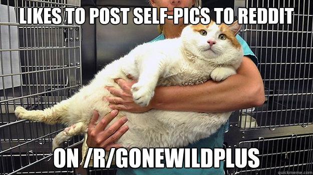 Likes To post self-pics to reddit on /r/gonewildplus - Likes To post self-pics to reddit on /r/gonewildplus  Worlds Fattest Cat