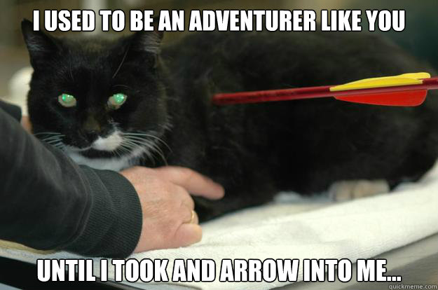 I used to be an adventurer like you Until I took and arrow into me...  - I used to be an adventurer like you Until I took and arrow into me...   Skyrim Cat