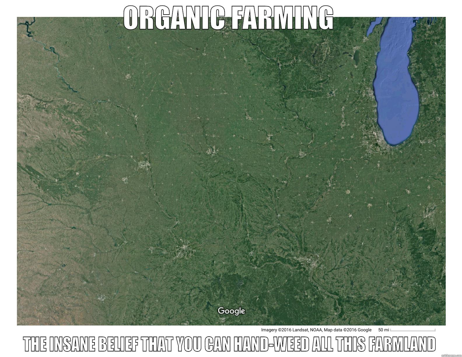 ORGANIC FARMING THE INSANE BELIEF THAT YOU CAN HAND-WEED ALL THIS FARMLAND Misc