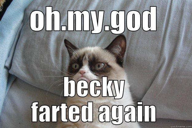 cat fart - OH.MY.GOD BECKY FARTED AGAIN Grumpy Cat