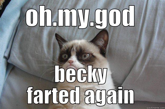 OH.MY.GOD BECKY FARTED AGAIN Grumpy Cat