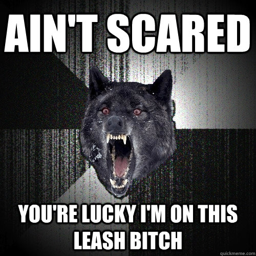 ain't scared you're lucky i'm on this leash bitch  Insanity Wolf