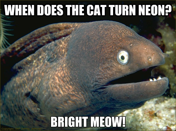When does the cat turn neon? Bright meow!  Bad Joke Eel