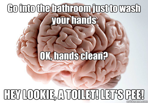 Go into the bathroom just to wash your hands


OK, hands clean? 
HEY LOOKIE, A TOILET! LET'S PEE!  Scumbag Brain