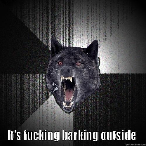  IT'S FUCKING BARKING OUTSIDE Insanity Wolf